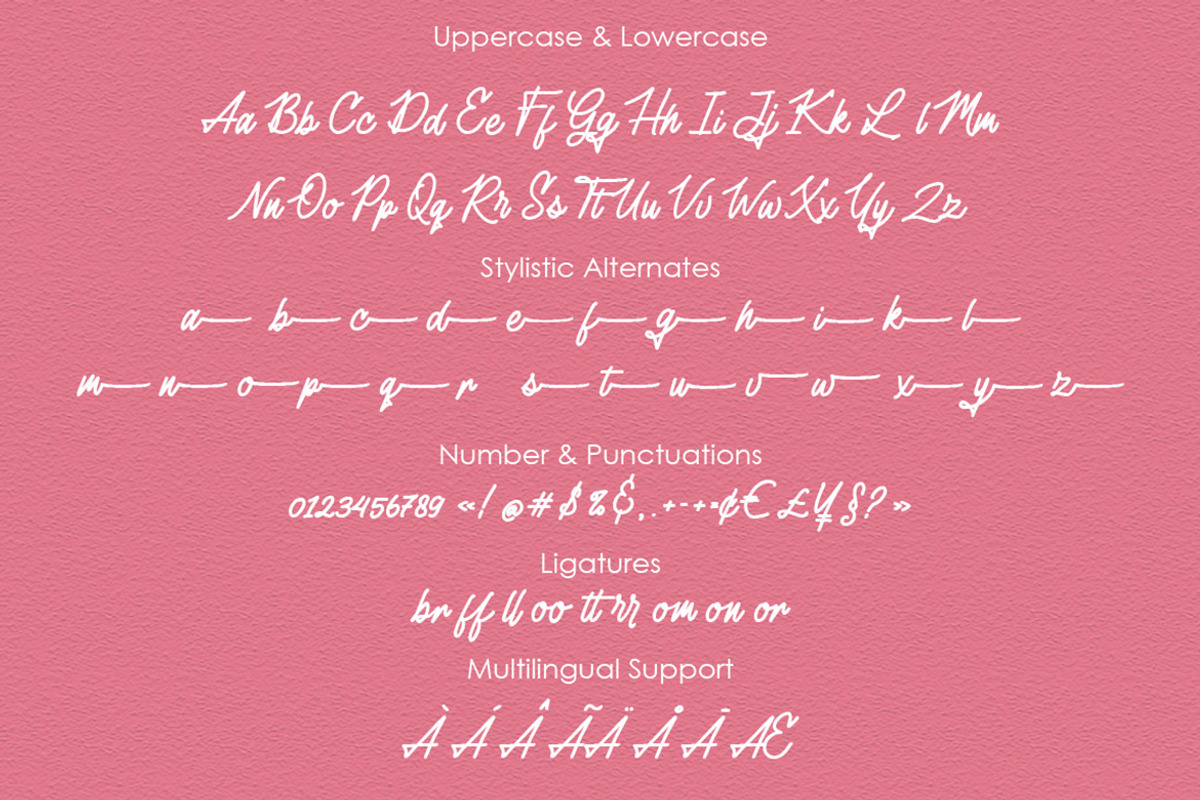 Handy Script, a Script Font by Almeera Std (Photo 5 of 6)