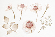 Hydrangea Daisy Flowers Pattern, an Illustration by PawGraphic (Thumbnail 3 of 10)