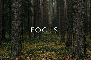 Enchanting Forest Floor with Moss, a Nature Photo by Virgo Studio