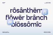 GC Palioka - Stylish Modern Sans, a Sans Serif Font by Glyphonic (Thumbnail 12 of 15)