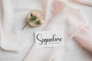 Donkeys | Script Font, a Handwritten Font by Scratchones (Thumbnail 3 of 9)