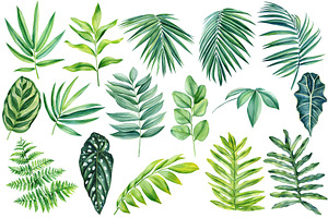 Tropical Green Plants Watercolor