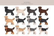 Scoodle, Scottiepoo dog mix, an Animal Illustration by pet design shop (Thumbnail 2 of 6)