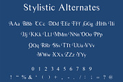Cityp Serif Font, a Serif Font by Gunadika -kadek- (Thumbnail 2 of 6)