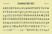 Morning Grown - Playful Font, a Handwritten Font by Zarma Type (Thumbnail 9 of 9)