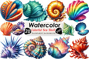Watercolor Colorful Sea Shell Clipar, an Illustration by Black Bird Studio (Thumbnail 1 of 4)