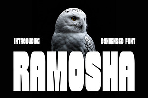 Ramosha Bold Condensed Font