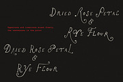 The Rose Atelier// Hand drawn Font, a Handwritten Font by PeachCreme (Thumbnail 5 of 15)