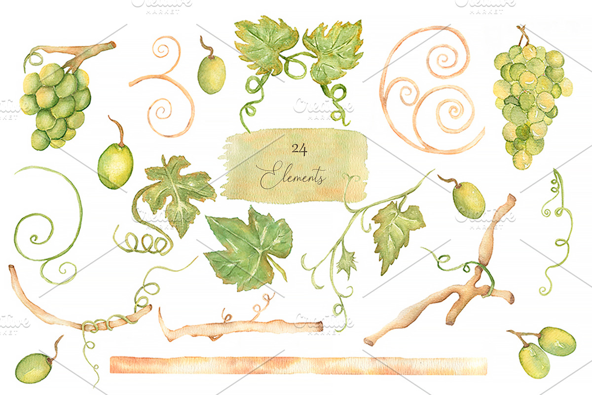 Watercolor Grapes, a Food Illustration by MayaNavits (Photo 3 of 15)
