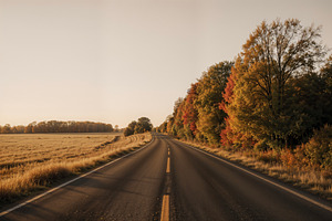 Country road through autumn fields, a Photo by rarrarorro