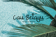 Pomegrande Script Typeface, a Script Font by Dawnside Graphic (Thumbnail 12 of 13)