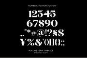 Rocline Serif, a Serif Font by zeenesia (Thumbnail 16 of 16)