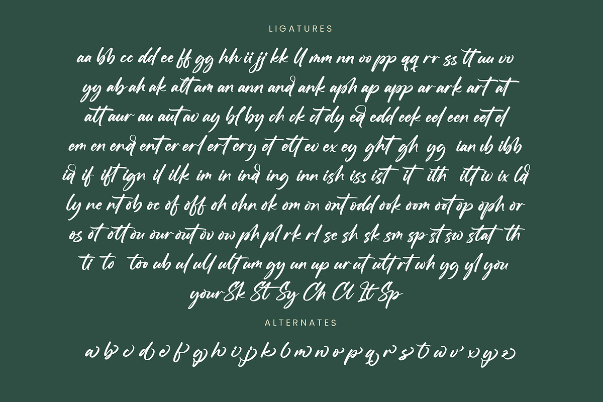 Straight Pathart Modern Brush Font, a Script Font by stylishtype.co (Photo 18 of 20)
