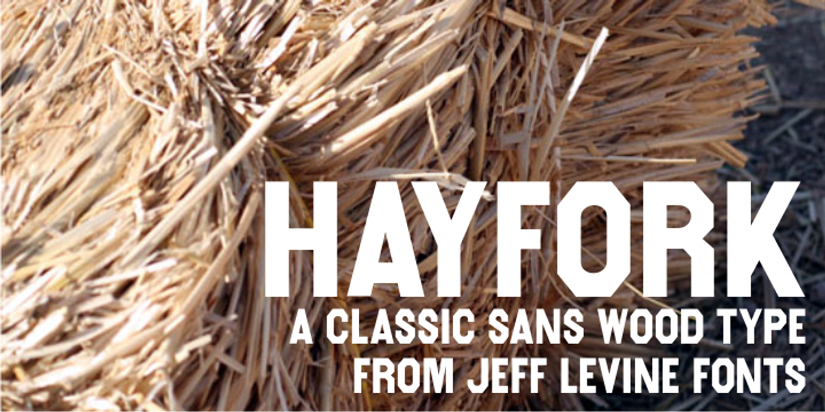 Hayfork JNL, a Sans Serif Font by Jeff Levine Fonts