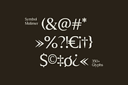 Molimer Family Serif Font, a Serif Font by Marvadesign (Thumbnail 10 of 11)