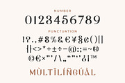 Avello - Modern Elegant Serif Font, a Serif Font by Mily Studio (Thumbnail 6 of 10)
