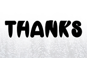 Winter, a Script Font by FreshTypeINK (Thumbnail 5 of 6)