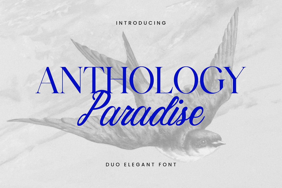 Anthology Paradise Duo Elegant Font, a Serif Font by UICreative (Photo 1 of 13)