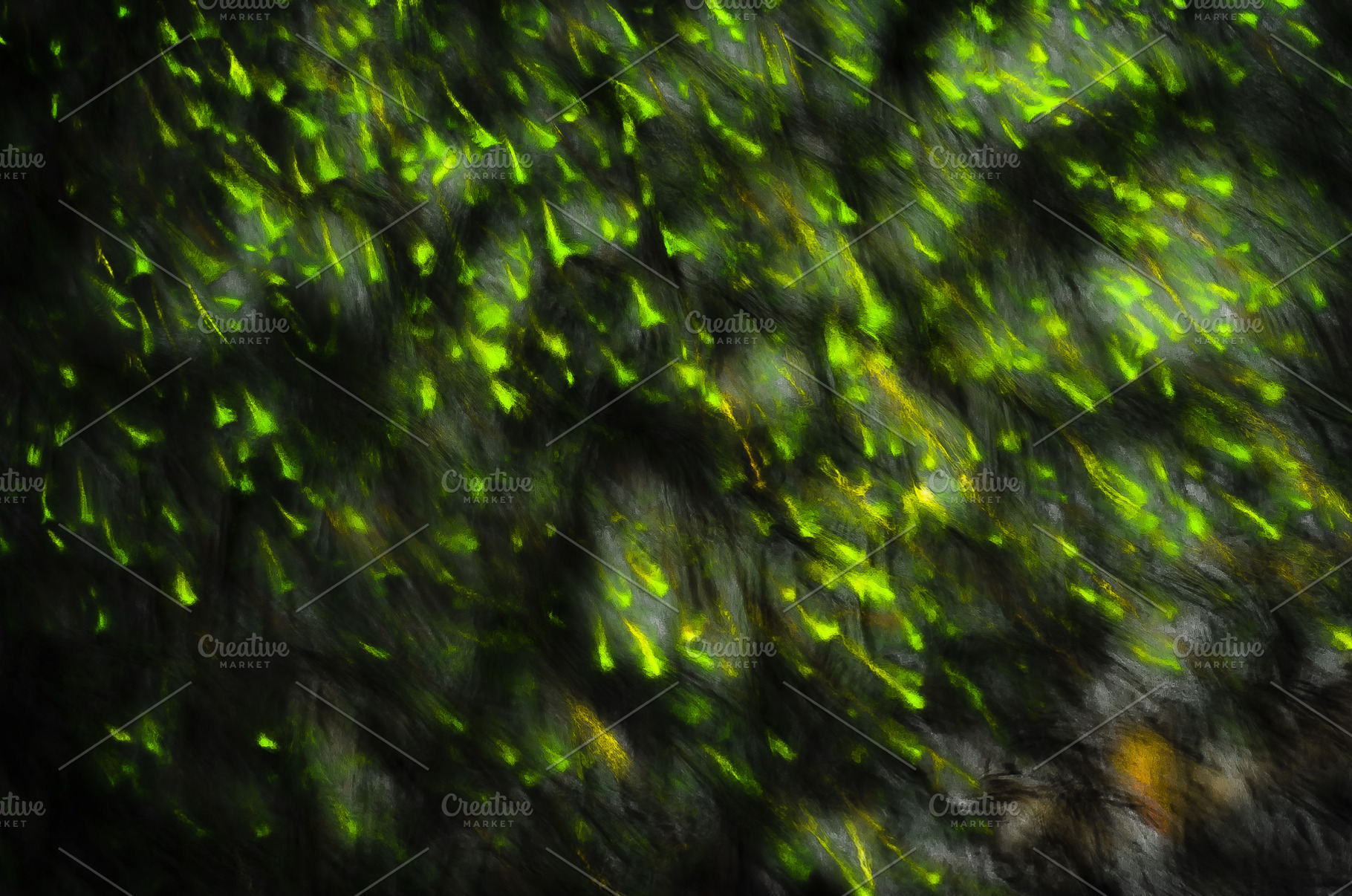 Green light tadpoles, an Abstract Photo by mikelju's point of view