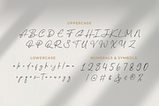 Brilliany Modern and Elegant Font, a Handwritten Font by Graphue (Thumbnail 4 of 9)