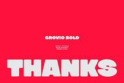Grovio - Bold Dsiplay Font, a Sans Serif Font by limitype (Thumbnail 12 of 12)