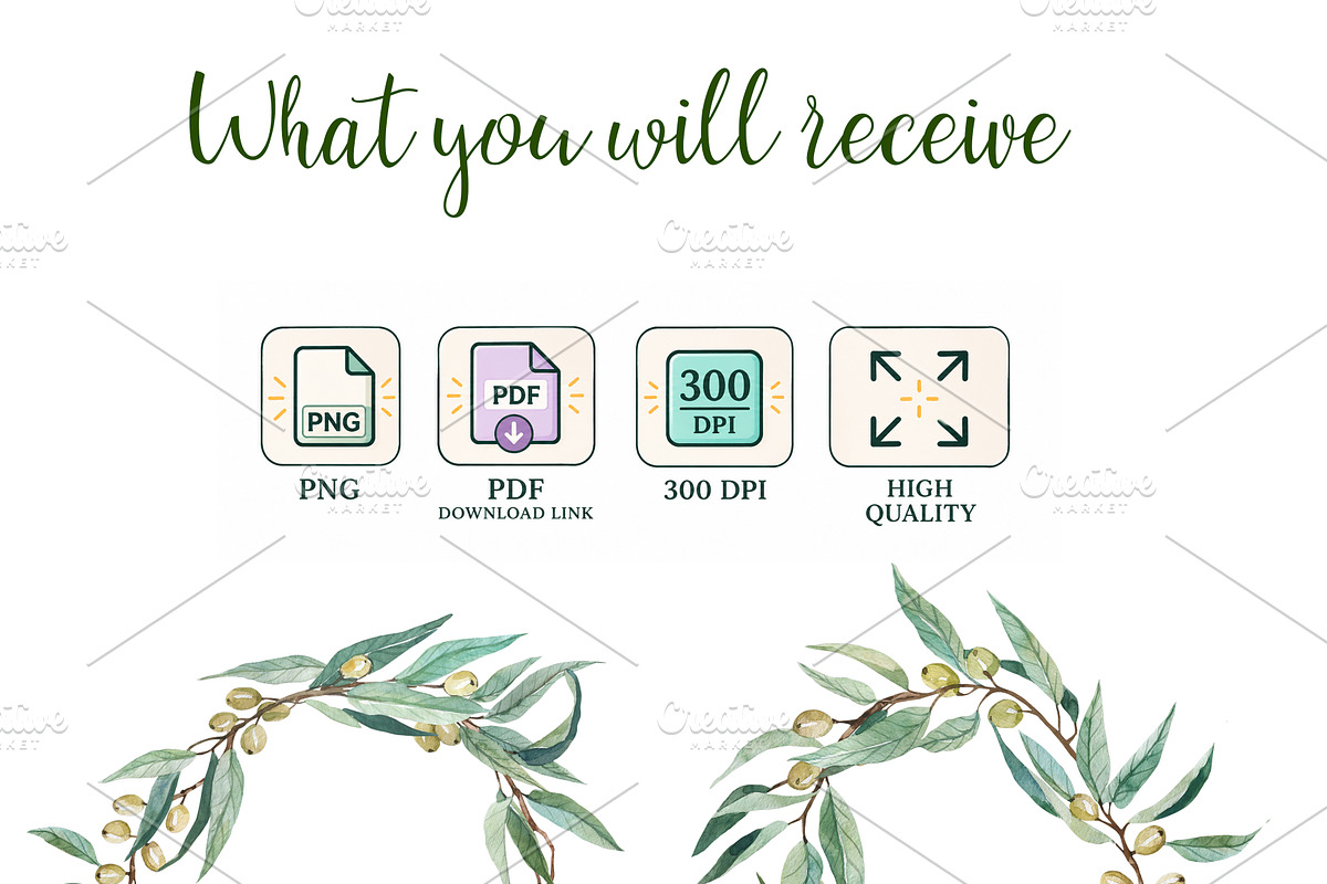 Olive Watercolor Clipart PNG, a Decorative Illustration by PatternPalette (Photo 7 of 8)
