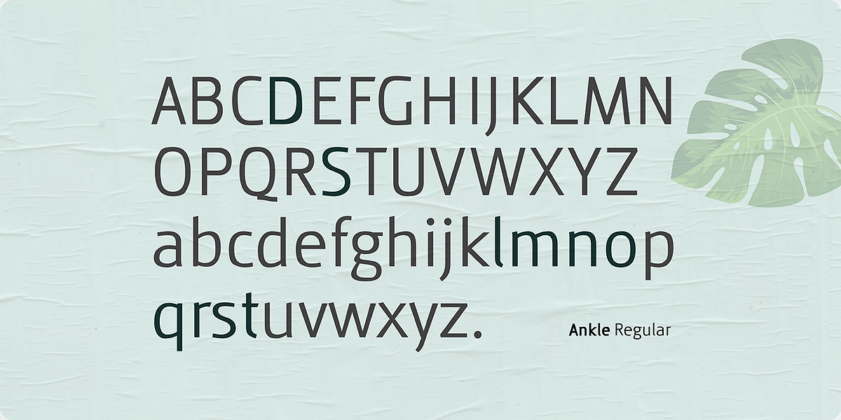 Ankle, a Sans Serif Font by Vikers (Photo 6 of 11)
