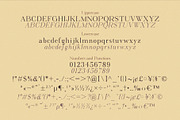 Virendra Pro - Modern Serif Font, a Serif Font by Hakara Type (Thumbnail 8 of 15)