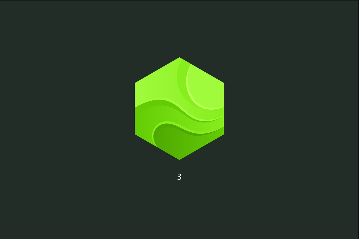 9 hexagons. Vector logo, a Branding & Logo Template by Magda (Photo 5 of 11)