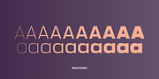 Manual, a Sans Serif Font by TypeUnion (Thumbnail 14 of 16)