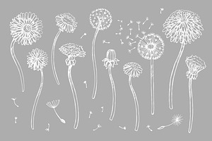 Dandelions: Set Patterns