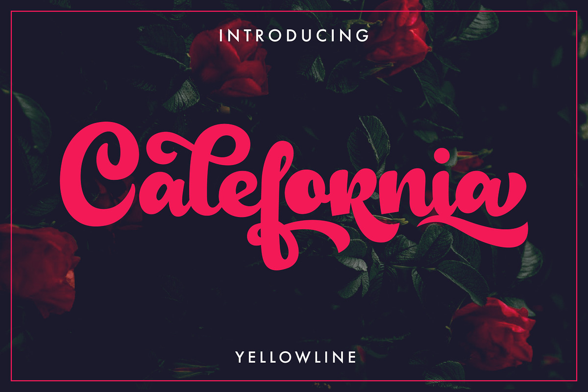 Calefornia Bold Script, a Handwritten Font by yellowline (Photo 1 of 7)