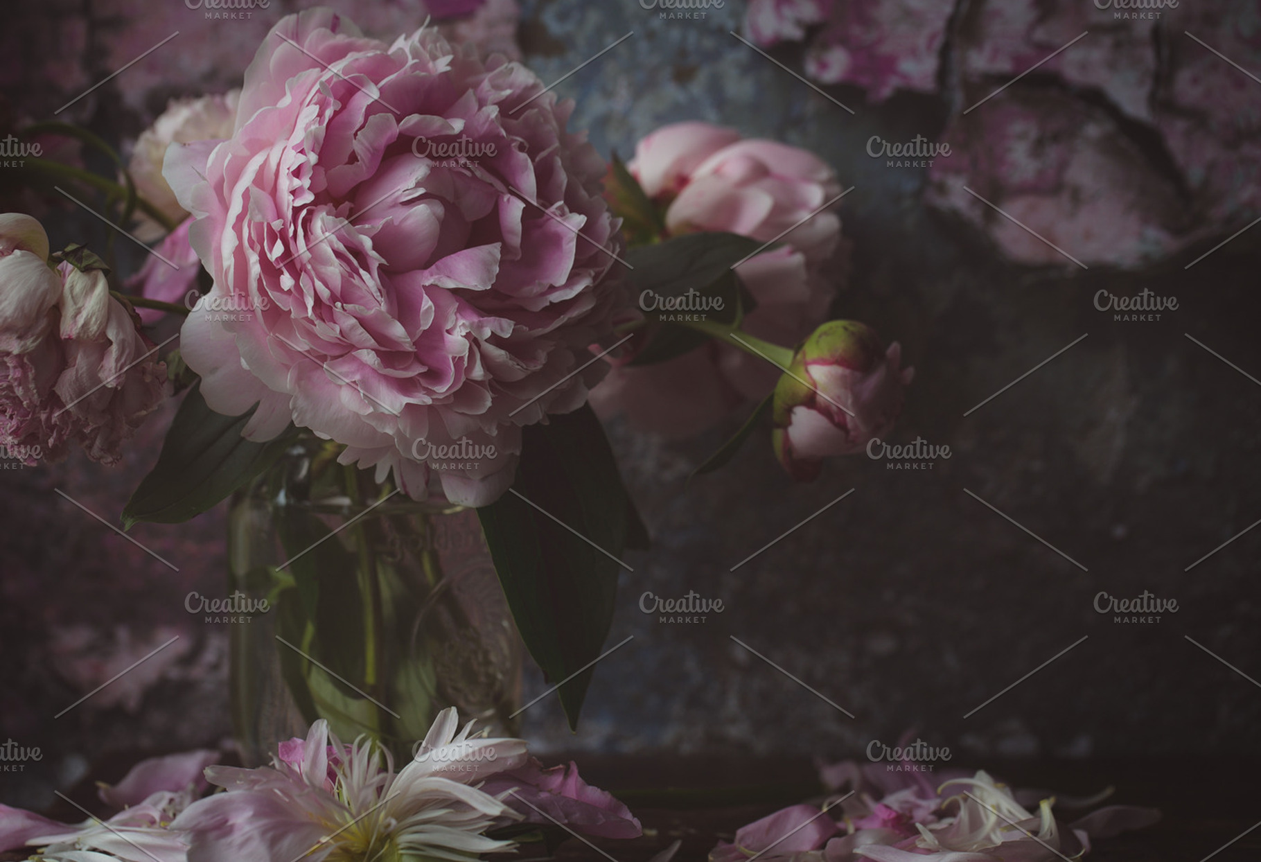 Peonies stock photo containing peonies and flower, a Beauty & Fashion Photo by Tina Thelen Photography
