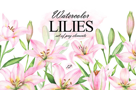 Pink lilies watercolor clipart set, an Illustration by OlDm_Shop