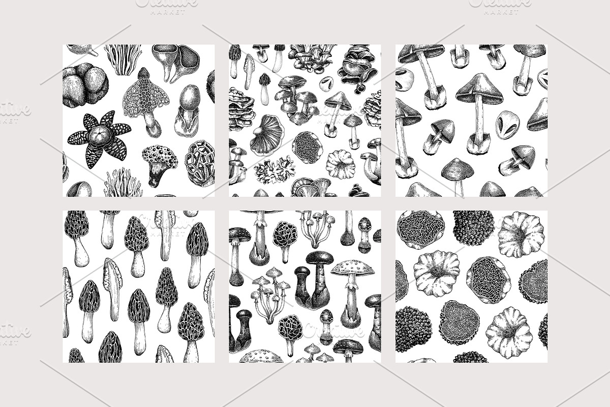 Mushrooms Vector Illustration Set, an Object Illustration by Yevheniia (Photo 13 of 14)