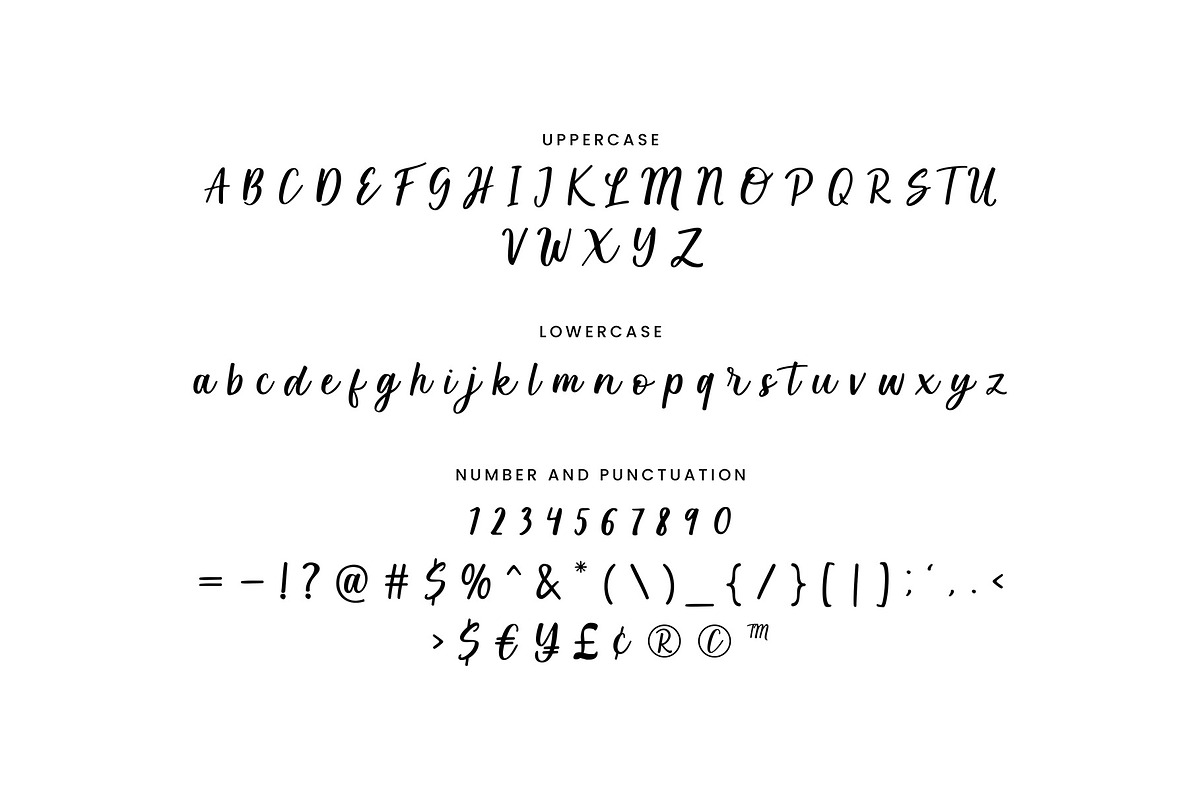 Lilybulle - Simple Stylish Script, a Font by Aksapix Studio (Photo 2 of 9)