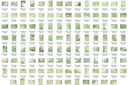 110 Ethereal Green Backgrounds, an Abstract Photo by Allure Art (Thumbnail 32 of 32)