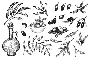 Olive Vector Collection