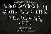 Barbiedol, a Handwritten Font by FreshTypeINK (Thumbnail 5 of 8)