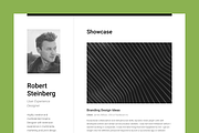 Big Set of Professional Resumes 1, a Resume Template by DEFNST (Thumbnail 3 of 14)