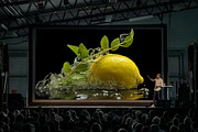 Citrus Art - 25 images, a Food Illustration by Handmadefont (Thumbnail 9 of 10)
