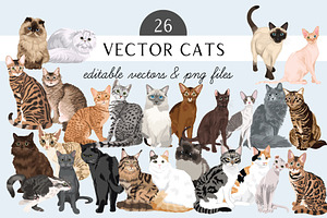 Cat Breed Illustrations Vector Art