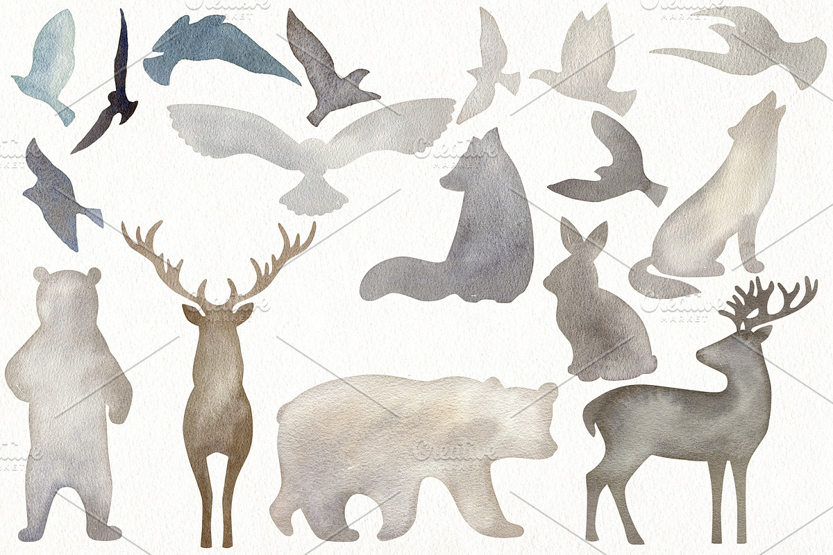 Watercolor forest., an Animal Illustration by TaPilipa (Photo 2 of 10)