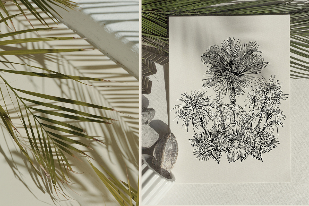 Tropical black& white plants, a Decorative Illustration by Jeanna Draw (Photo 12 of 17)