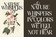Roses Smyth Elegant Font, a Serif Font by Haps Space (Thumbnail 2 of 15)