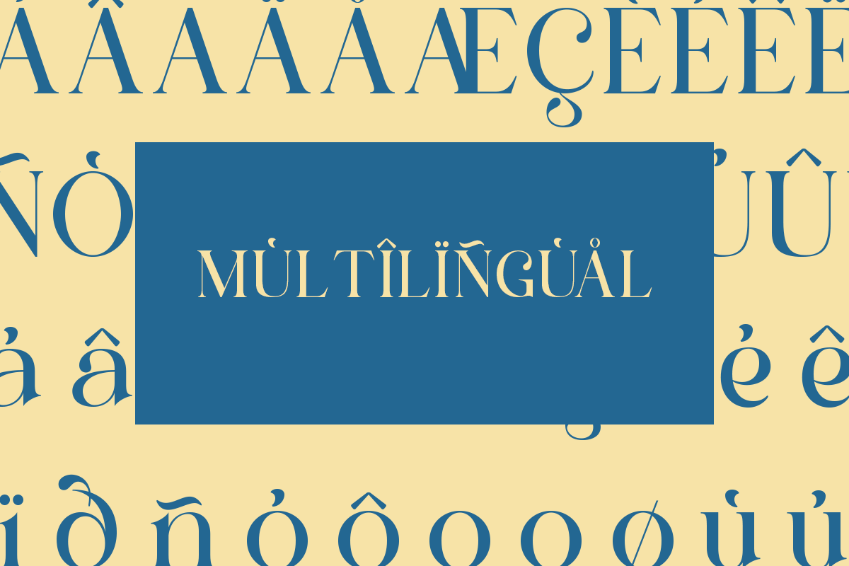 Saltive - Elegant Modern Serif, a Serif Font by Qweera Studio (Photo 10 of 12)
