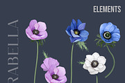 Audacious Arabella, a Decorative Illustration by Dana Designs (Thumbnail 2 of 15)