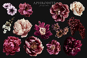 Aphrodite Floral Clip Art Collection, an Object Graphic by Eclectic Anthology (Thumbnail 12 of 13)