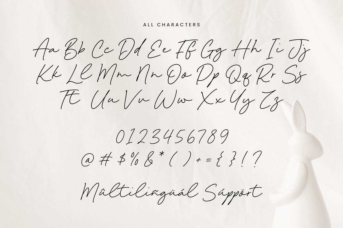 Bunny Kinsley Font, a Script Font by Timurtype (Photo 6 of 7)