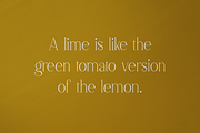 Malinger - Elegant Serif Font, a Serif Font by VP Fonts (Thumbnail 11 of 20)